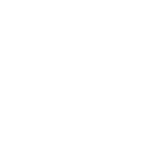 DIE GANG IST DA